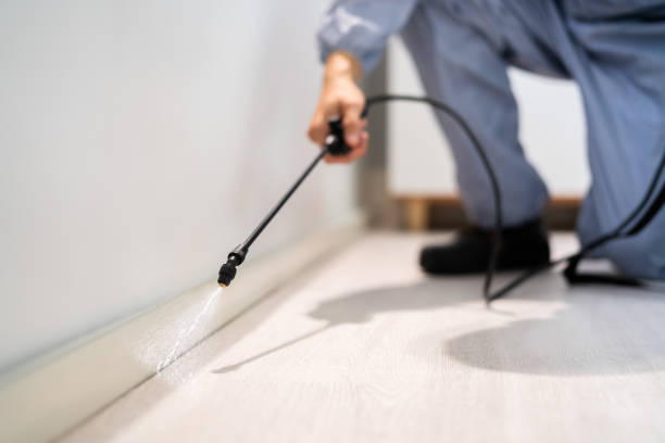 Licensed Pest Control service in Franklin, LA - Show Me Pest Control