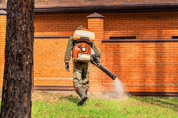 Bed Bug Clearance Verification and Documentation in Franklin
